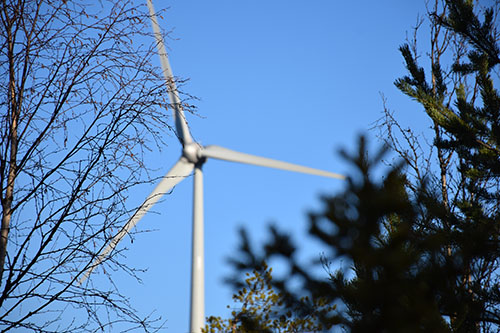 A wind turbine peeking through some trees