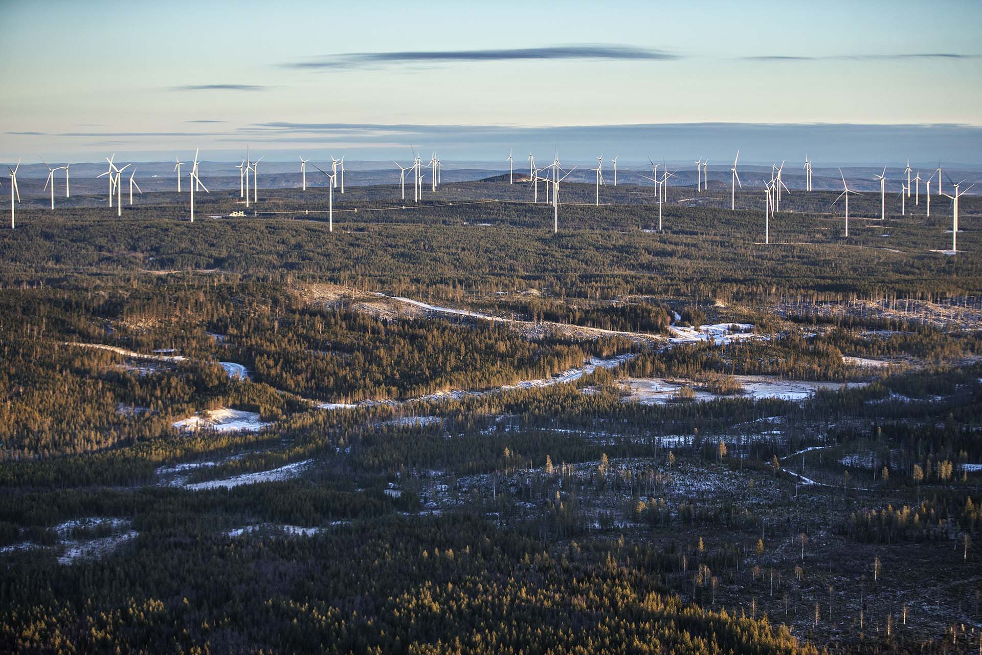 Wind mills in beautiful landscape