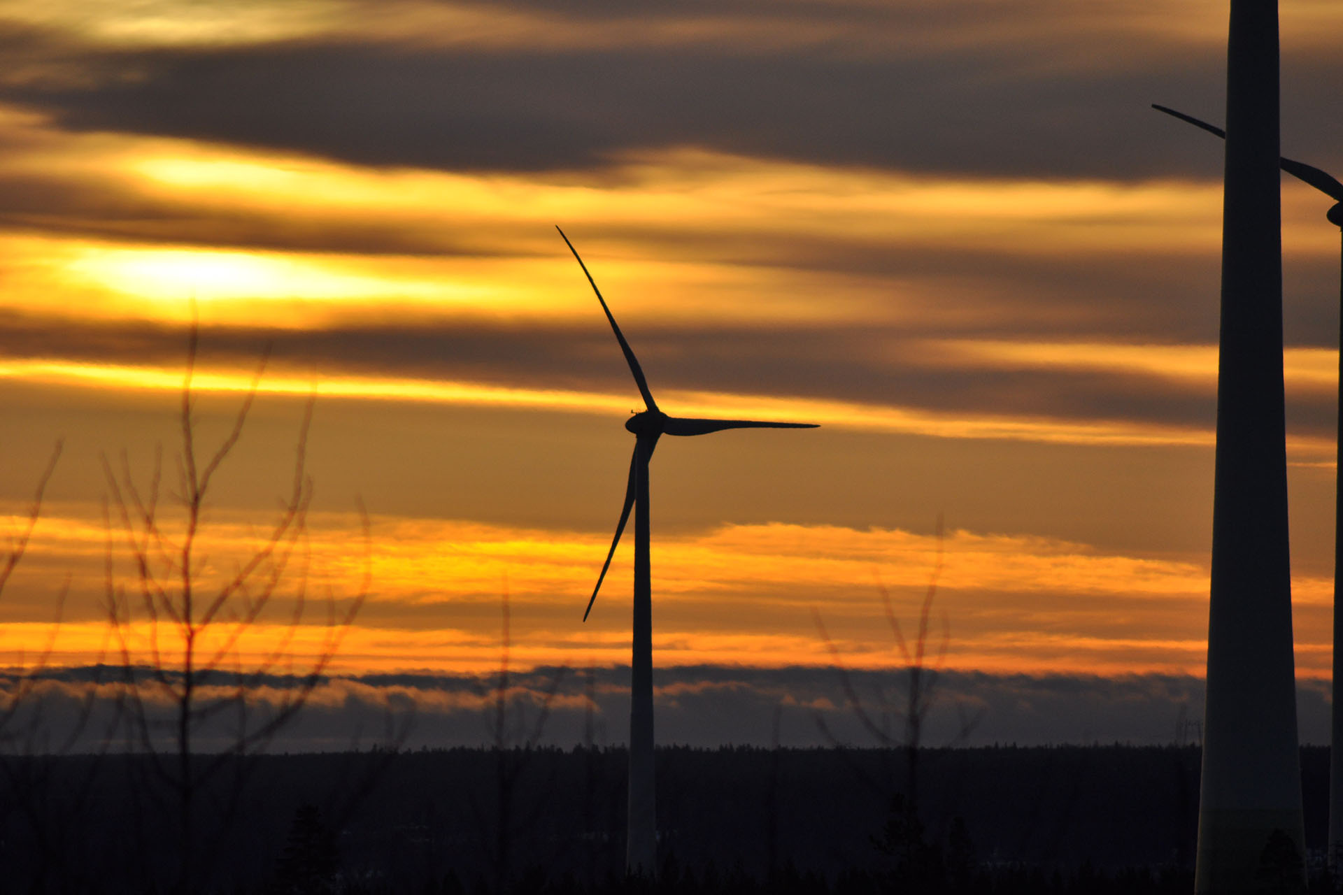 Wind turbines in sunsett